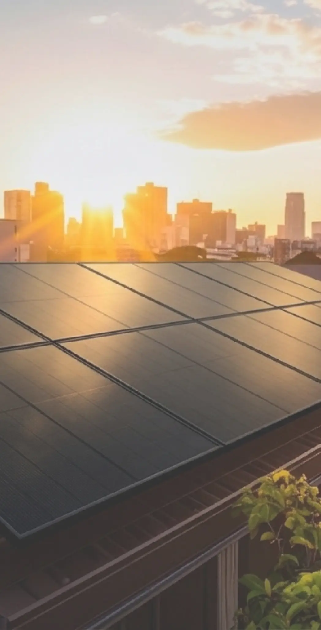 太陽光パネル画像