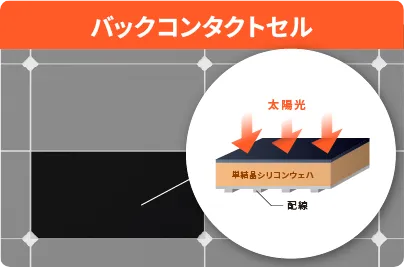 バックコンタクトセル