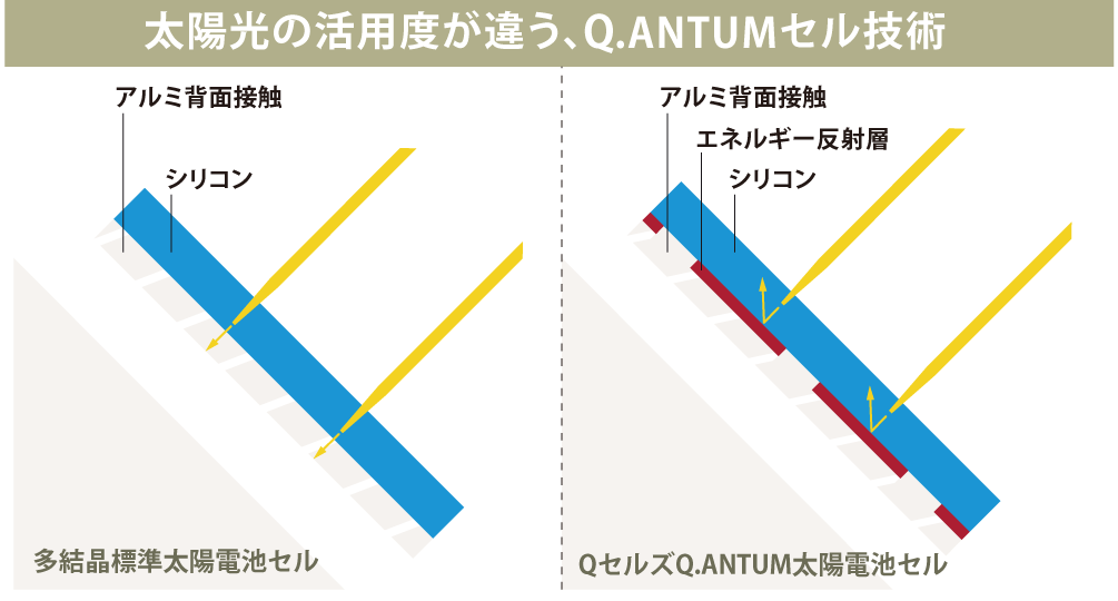 Q.ANTUMセル技術